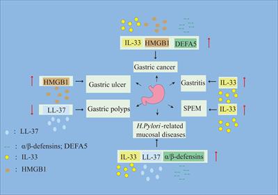 Gastric alarmin release: A warning signal in the development of gastric mucosal diseases